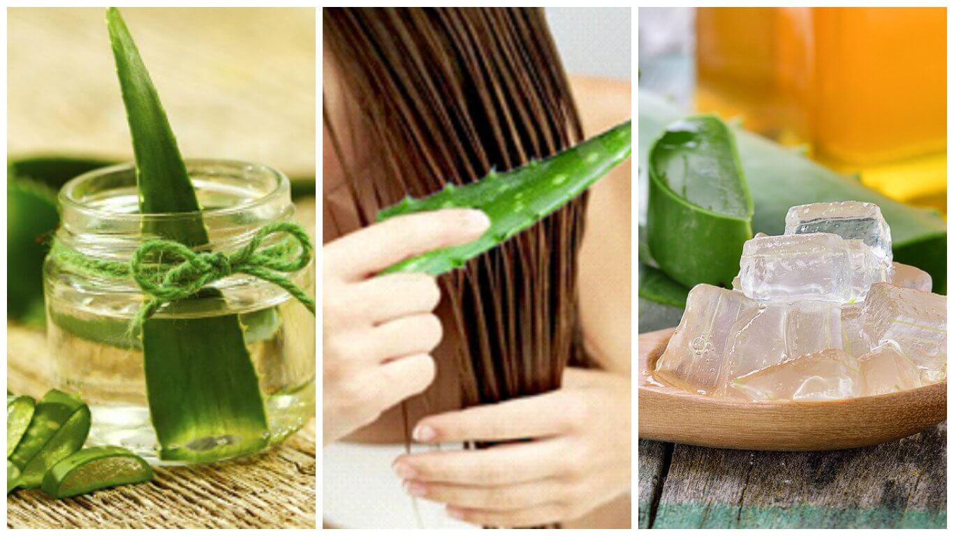 Xampu de aloe vera