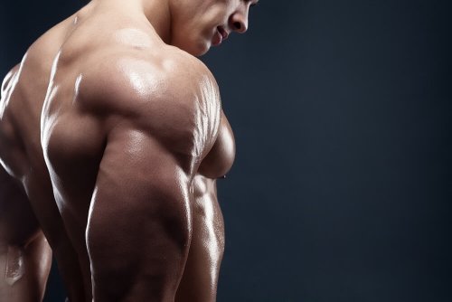 4 deliciosos cafés da manhã para aumentar sua massa muscular