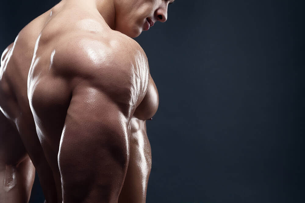 4 deliciosos desjejuns para aumentar sua massa muscular 4 deliciosos desjejuns para aumentar sua massa muscular