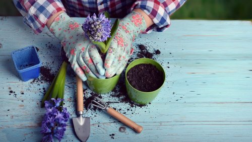 Saiba quais são os benefícios de ter um hobby