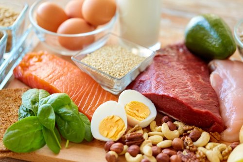 Alimentos permitidos na dieta da zona