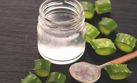 Aloe vera
