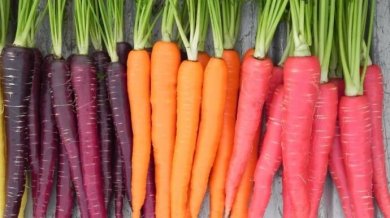 Grandes propriedades da cenoura para a saúde