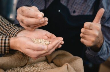 Receita para preparar leite de cevada