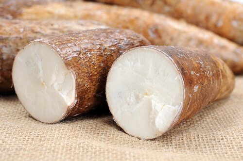 Mandioca
