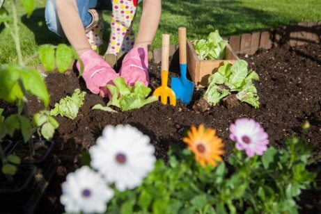 7 maneiras de usar o vinagre no jardim