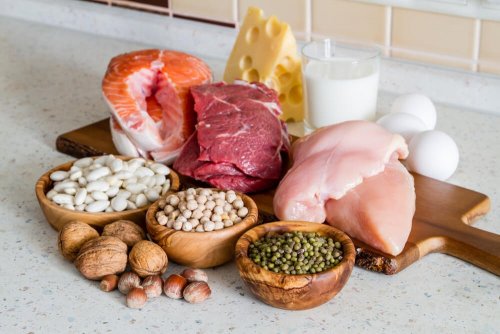 Fontes de proteína