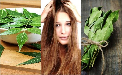 Ervas para o cabelo
