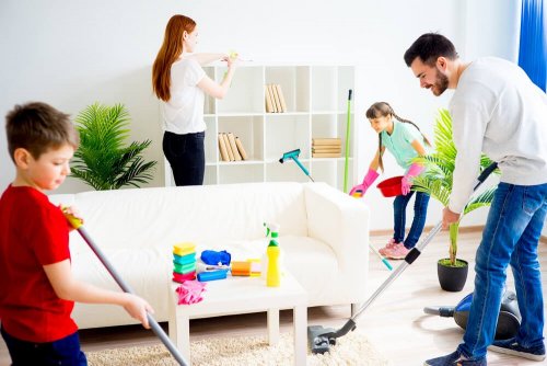 limpar e organizar a casa