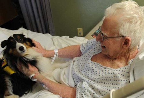 Mulher no hospital com animal de estimação