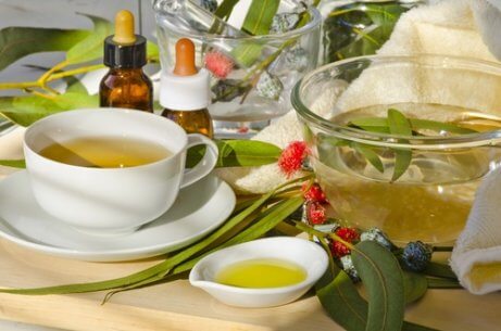 Infusão de eucalipto para desintoxicar os pulmões