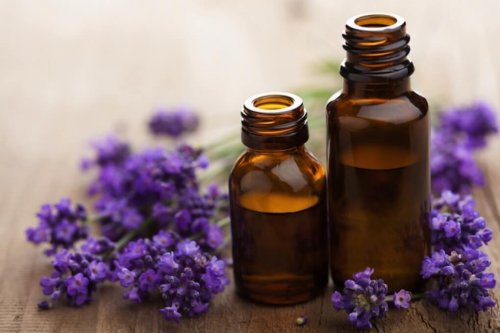 Lavanda