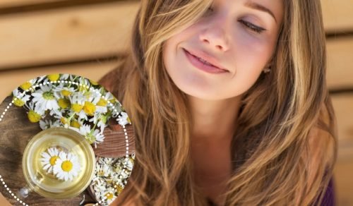 Camomila para clarear o cabelo