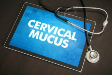 Pode o muco cervical indicar a gravidez?