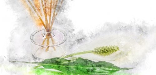Frascos de perfumes velhos podem servir de difusor
