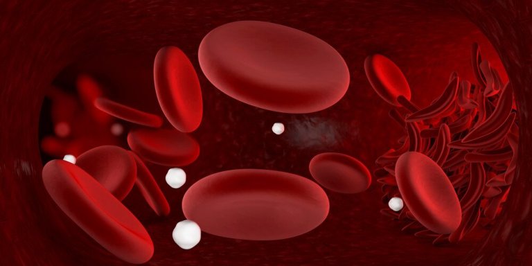 Remédios infalíveis para combater a anemia em casa