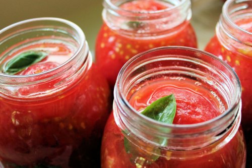 Frascos com tomate e manjericão