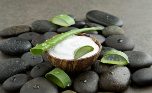 Aloe vera