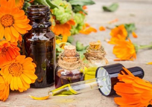 O óleo esencial de arnica ajuda a combater os sintomas da torção