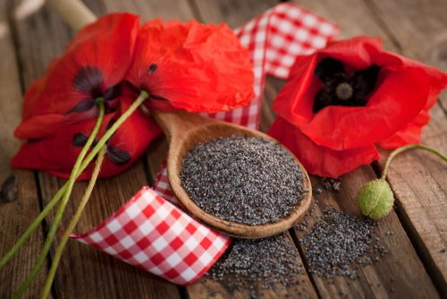 5 benefícios das sementes de papoula para a saúde