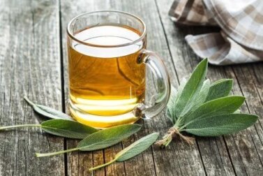 Remédios fitoterápicos para combater a infecção por H. pylori