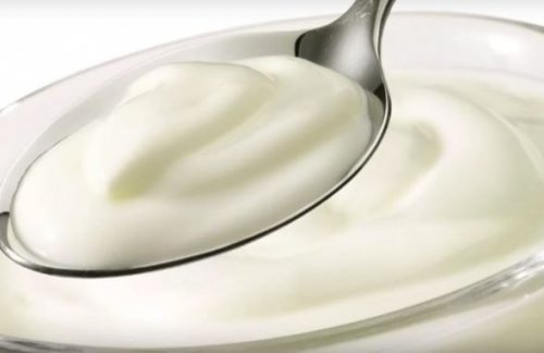 Colher de iogurte natural