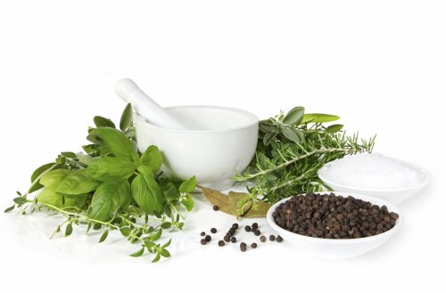As plantas medicinais são usadas na medicina alternativa