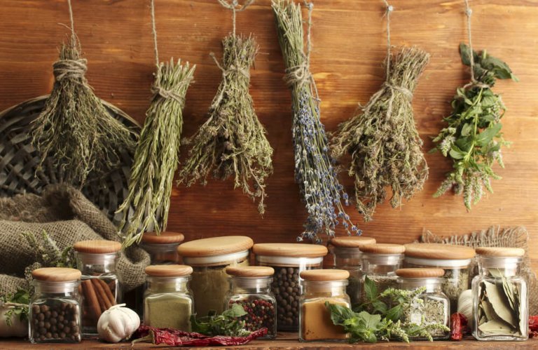 Ervas aromáticas: o segredo da cozinha mediterrânea