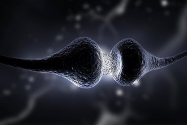 Dieta da serotonina: saiba o que é e quais são suas contribuições