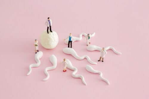 É possível engravidar com apenas um ovário?