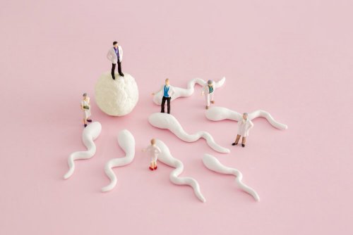 Figura de fecundação