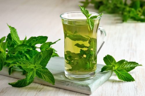 Infusão de hortelã-verde e menta