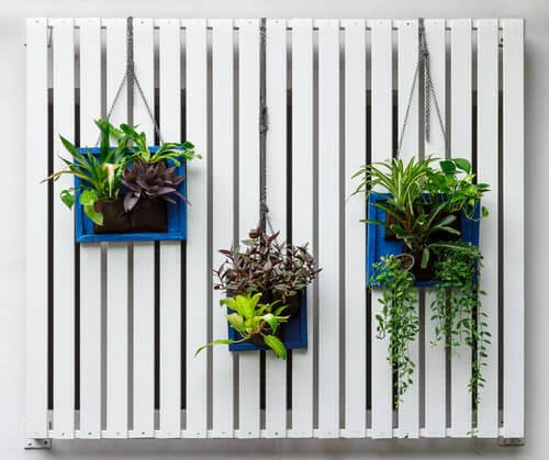Jardim vertical