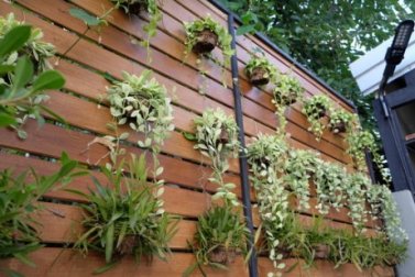 4 ideias para transformar uma parede em um jardim vertical