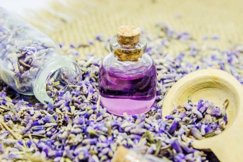 Óleo de lavanda para aromatizar naturalmente a casa