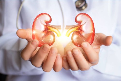Incrível dieta para limpar os rins