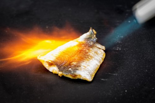 Peixe maçaricado