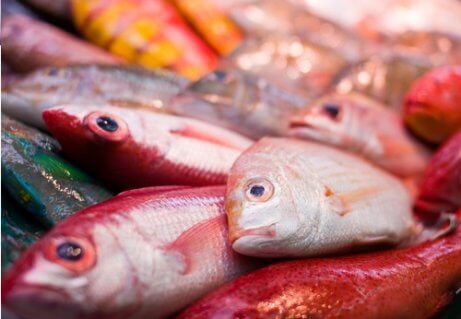 A ingestão de peixe contaminado com mercúrio pode estar relacionado ao autismo