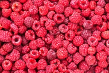 Framboesas: descubra como consumi-las em sua dieta