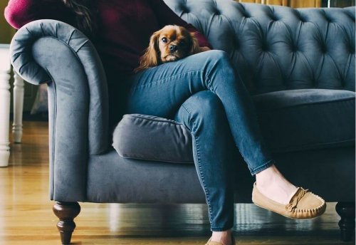 Mulher com cachorro no sofá