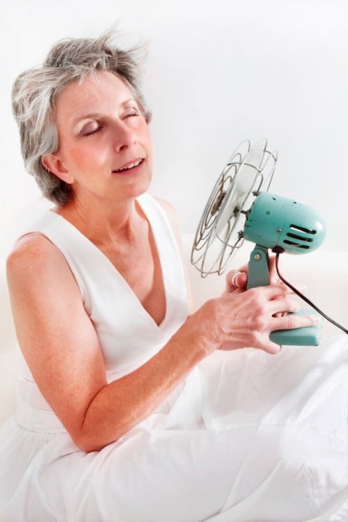 Remédios naturais eficazes para tratar os sintomas da menopausa