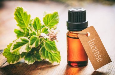 8 usos de óleo essencial de incenso que você vai gostar de conhecer