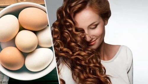 3 produtos hidratantes com ovos para cabelos secos