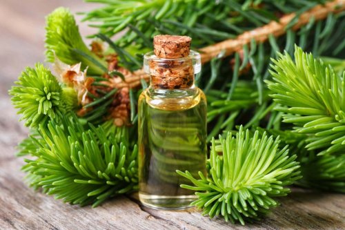 Óleo para aromatizar naturalmente a casa
