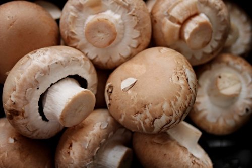 Champignons para preparar um creme
