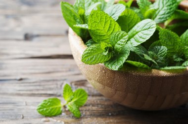 4 deliciosas receitas com hortelã