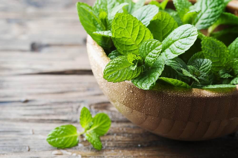 4 deliciosas receitas com hortelã