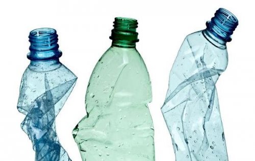 Garrafas plásticas vazias para fazer vasos para plantas