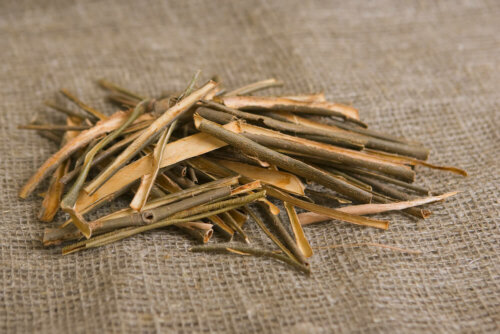 Infusão de casca de salgueiro