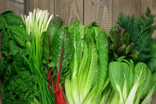 Vegetais de folhas verdes
